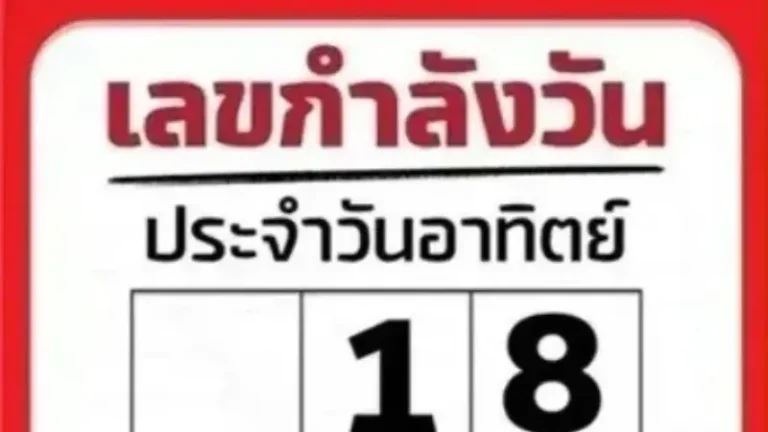 ส่องเลขเด็ด 1 พฤศจิกายน 2569 เปิดตารางเลขกำลังวันอาทิตย์ ชูเลขเด่น 1 พร้อมชุดเลข 2 ตัวน่าจับตา